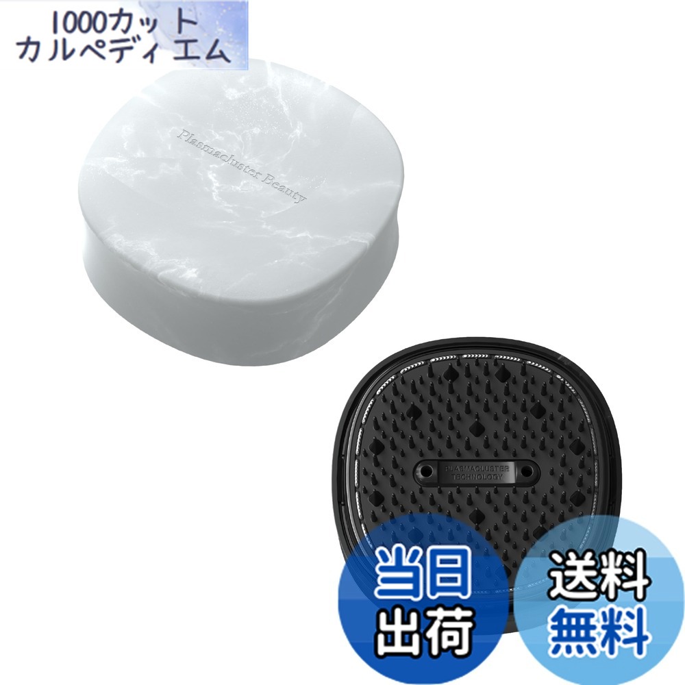 【貨物輸送無料】小ざかしい 引っ切り無い 髪の毛鉄 IB-S8000-B 色：ともし火青碧