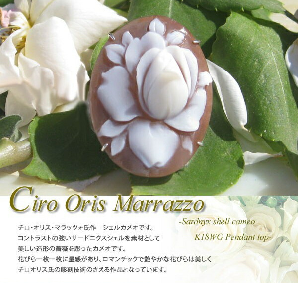 正規代理店 カメオ ペンダントciro Oris Marrazzo作シェルカメオk18wg ペンダント トップ Fucoa Cl