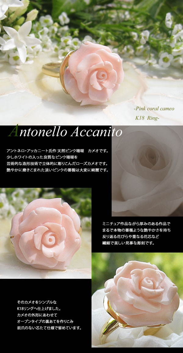楽天市場 Antonello Accanito作 天然ピンク珊瑚カメオ K18カメオ
