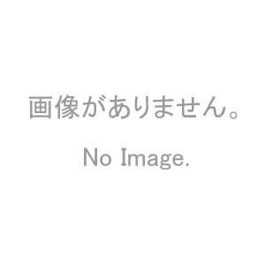 クレセント 三協軽銀 住み家用 WB7403 白いこと 花・ガーデン・DIY-建具-窓