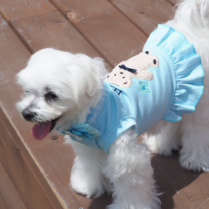 楽天市場 マリンベア フリルタンクトップ 犬服 犬 服 好き 名入れ 名前入り 名前入れ プレゼント ギフト おしゃれ かわいい タンク 夏 くま クマ テディベア おすすめ 小型犬 トイプードル チワワ ドッグウェア 犬の服 敬老の日 名入れギフト 犬服 104 Tenfour