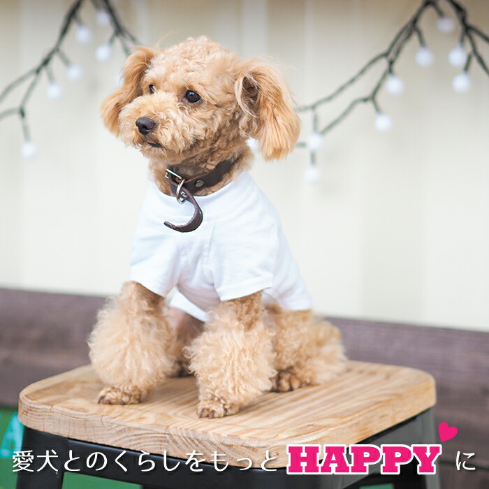 楽天市場 スターtシャツ ペアルックもできる 犬服 犬 服 好き 名入れ 名前入り 名前入れ 刺繍 夏 おしゃれ Tシャツ 半袖 ｔシャツ 小型犬 プレゼント ギフト 犬の服 還暦祝い Tシャツ お揃い 犬用 敬老の日 名入れギフト 犬服 104 Tenfour