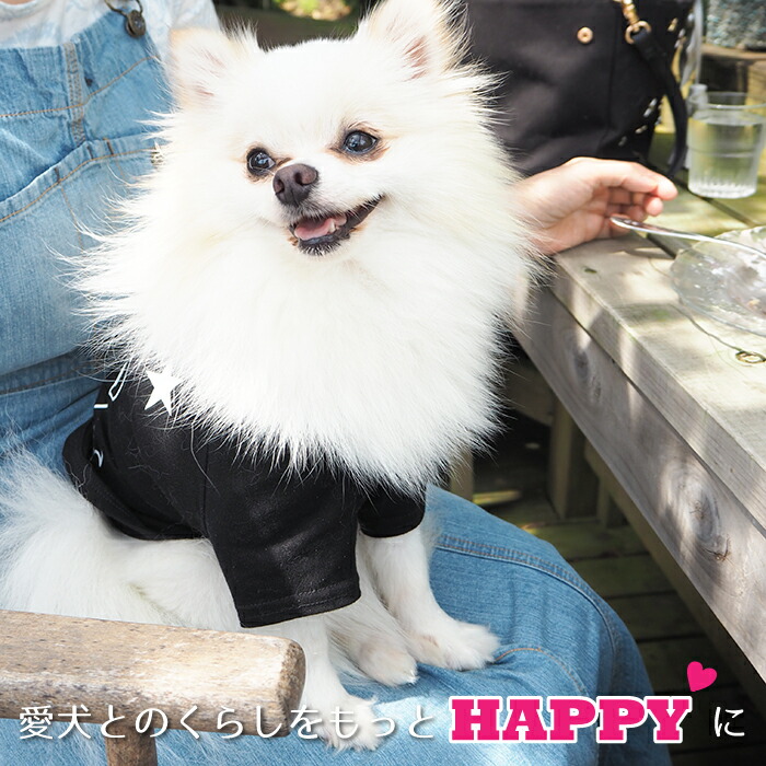 クマペアtシャツ 犬 飼い主 お揃い ペアルック Tシャツ 名入れ 名前入り 半袖 春夏 コーデ お揃いコーデ リンクコーデ シミラールック ドッグウェア ペット おそろコーデ 誕生日プレゼント ギフト 贈り物 犬 好き プレゼント 誕生日 敬老の日 Sermus Es