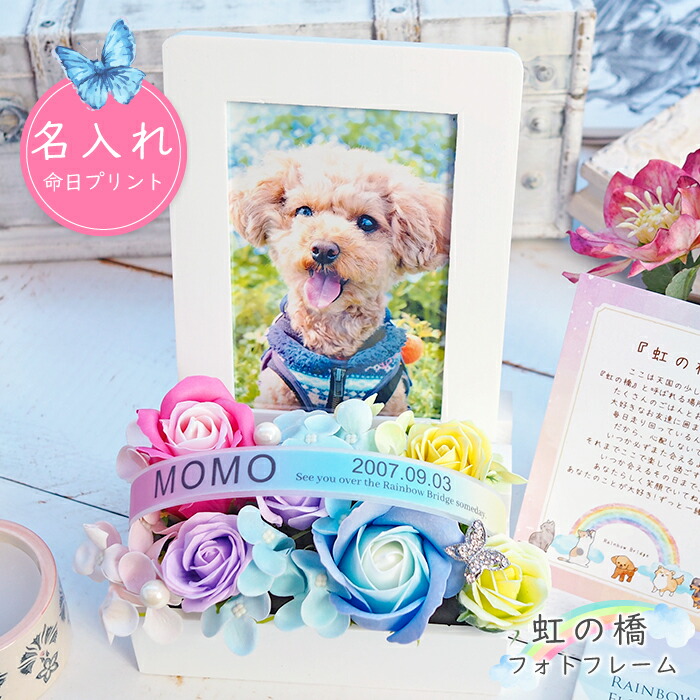 貨物輸送無料 《虹の橋映し絵一こま》 石ケン御花 愛玩動物 お供え お供え花 仏花 虹の橋 虹霓 メモリアルグッズ 供養 花 犬 猫 うさぎ 名入れ 名まえ入り口・入口 命日 石ケン御花 活動写真立て L判 枯れない