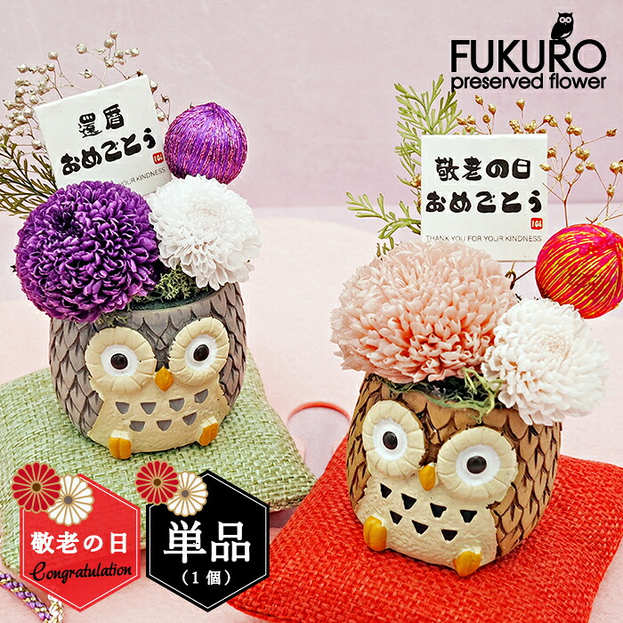 プリザーブドフラワー 和風プリザーブドフラワー 夫婦ふくろう・いつまでもお元気で 「夫婦ふくろう」プリザーブドフラワーギフト バレンタイン