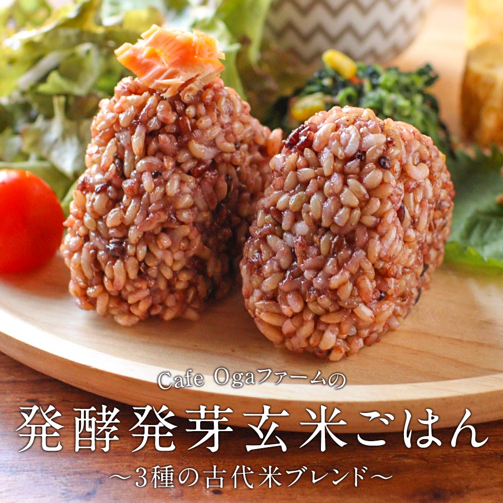 市場 発酵 玄米 160g 5食パック ブレンド米 赤米 黒米 あきたこまち アントシアニン ポリフェノール 乳酸菌 緑米 パックご飯 発芽玄米