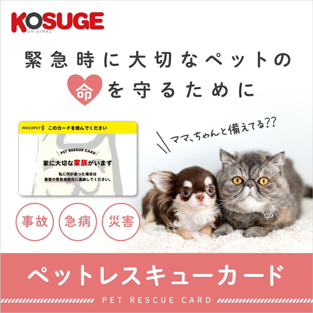 楽天市場】【あす楽】[コスゲオリジナル]KOSUGE ORIGINAL コスゲのにっこりレンチン替えカバー 4981528901535 ベッド・クッション  4981528901535 #w-165499-00-00 : モコペット