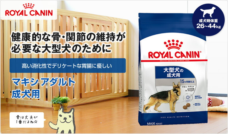 royal canin maxi starter 10kg