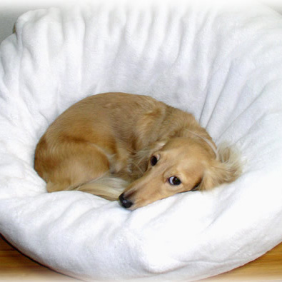 楽天市場 マシュマロクッション 本体 やわらかベッド 犬用ベッド 猫ベッド おしゃれ ホワイト 白 マット ペット用 モコペット