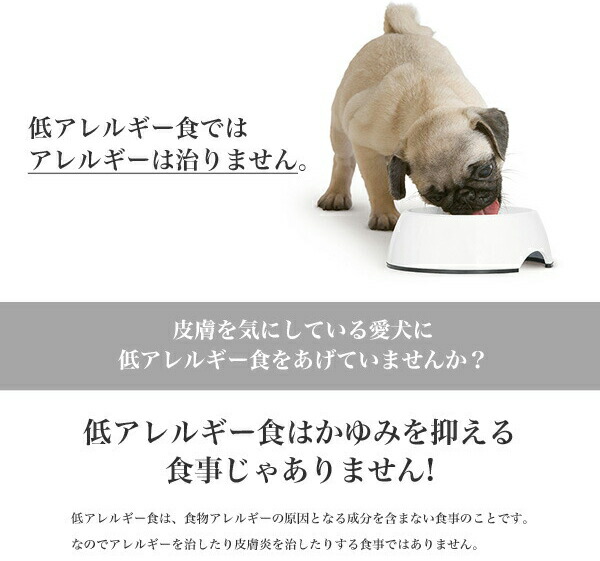 新品本物 楽天市場 ロイヤルカナン マキシ ダーマコンフォート 10kg 成犬用 皮膚の健康を維持したい犬用 生後15ヶ月齢以上 大型犬用 被毛ケア アレルギー対策 弱い皮膚 痒がる W Ccn Cup Rca Ccn Rcsc モコペット 楽天1位 Lexusoman Com