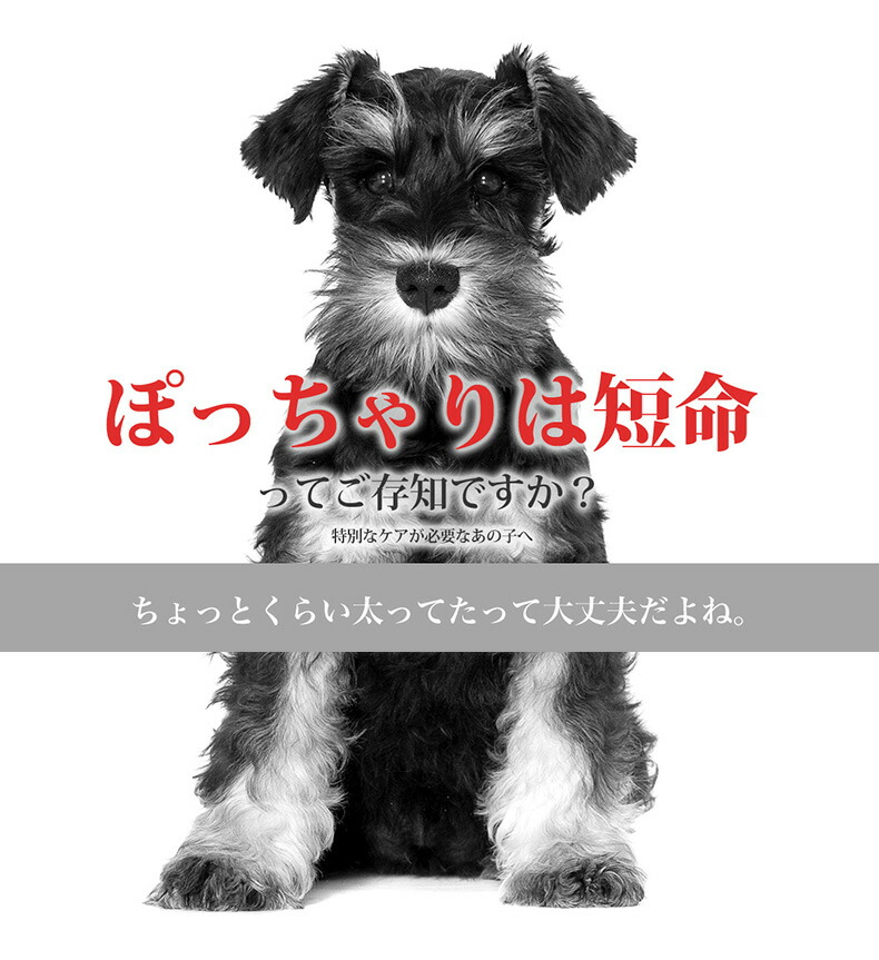 ロイヤルカナン エクストラ スモール ジッパー有り CCN 避妊・去勢犬用