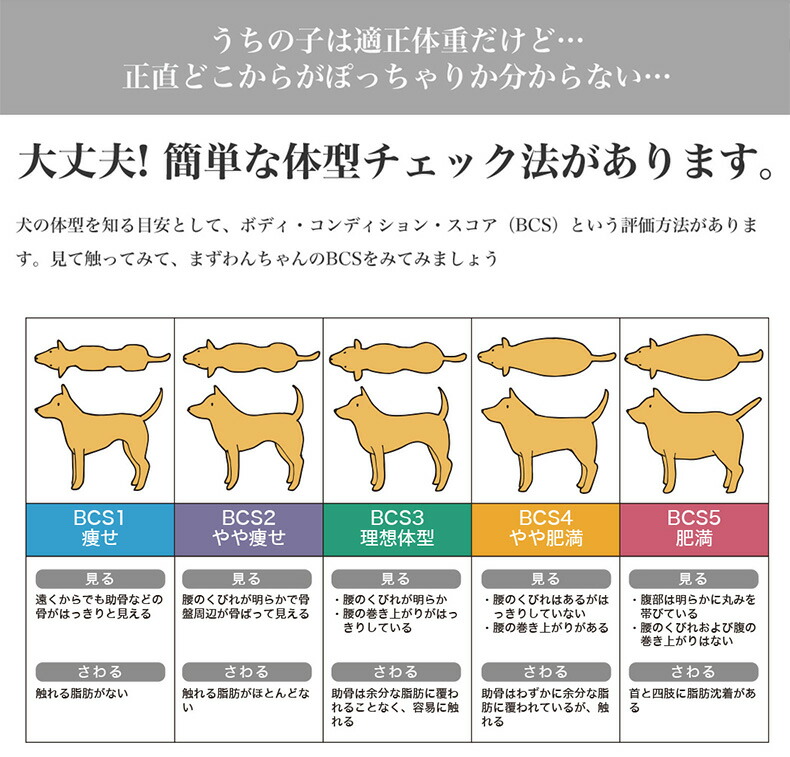 楽天市場 あす楽 ロイヤルカナン マキシ ステアライズド 9kg 成犬用 避妊 去勢犬用 生後15ヶ月齢以上 大型犬用 健康体重の維持 ドッグフード ダイエット 減量 低カロリー高タンパク質 W Ccn Cup Rca モコペット