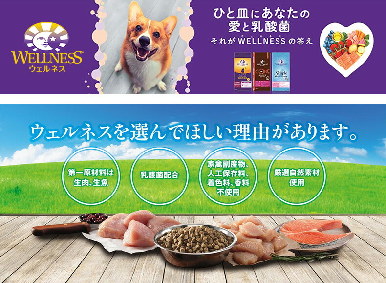 在庫あり 即納 楽天市場 ウェルネス Wellness ヘルシーバランス 小型犬成犬用 1歳以上 チキン 12 7 犬用 ドライフード ドッグ W 00 00 モコペット 豪華 Www Lexusoman Com