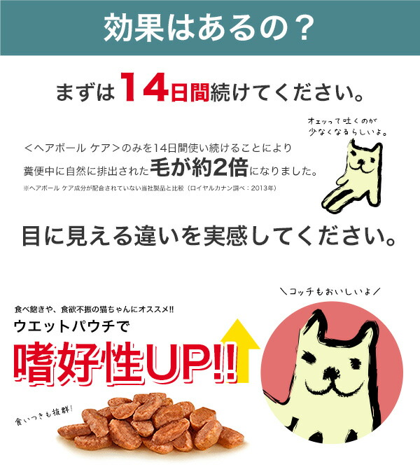 新品本物 あす楽 ロイヤルカナン ヘアボールケア 2kg 6 毛玉が気になる成猫用 安心の正規品 猫 Royal Canin Fcn 猫用ドライ キャットフード Cat ネコ ねこ 毛玉 被毛 W In 1604 07 Rc Dry お得な6個セット Rcsc モコペット 残り