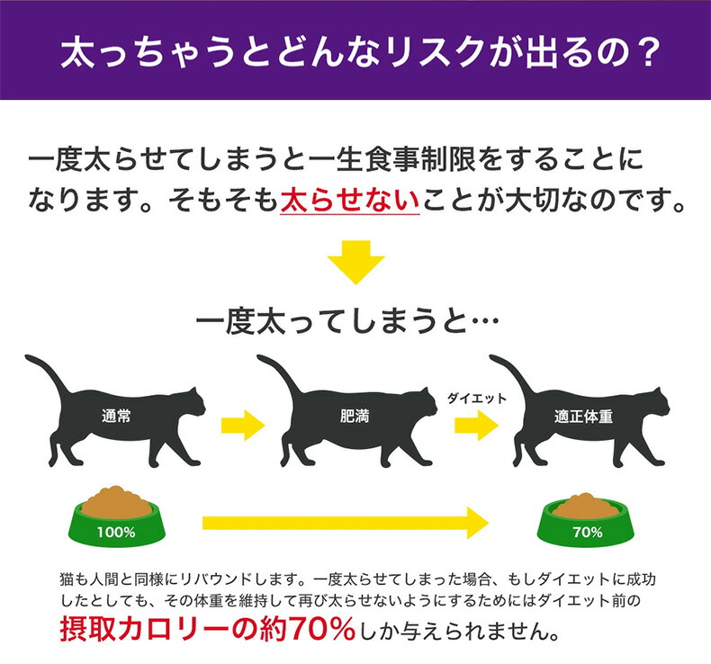 上限400円オフ あす他愛もない ロイヤルカナン エイジング ステアライズド 12 4kg 4 12年代以上 適切体重の支えるが辛い老い猫代 食欲旺盛 避妊法 宦官で太りたわいない猫 食事制限 下がる ぽってり In 1604 03 Rc Dry お得利な4個一式 Rcsc Cannes Encheres Com