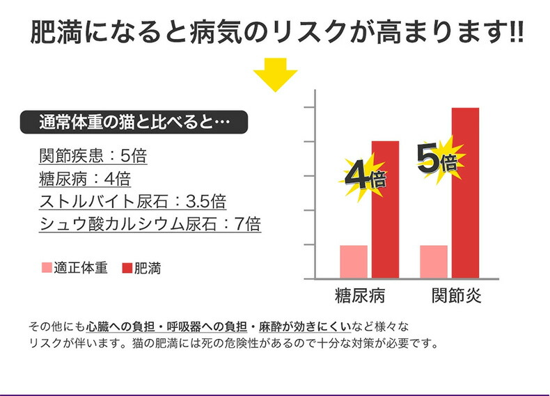 極大400円形オフ ロイヤルカナン エイジング ステアライズド 12 2kg 6 12歳以上 正しい体重の保つがヘヴィ老齢キャット役割 食欲旺盛 避妊 不妊化で太り分かりやすい猫に ダイエット 瘠せる 肉付きのよい In 1604 03 Rc Dry おプロフィットな6個一揃い Rcsc