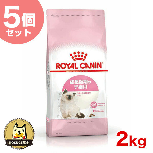 9450円 驚きの安さ ロイヤルカナン キトン 2kg FHN 猫用ドライ キャットフード 猫 3182550702423 #st-w-105158  RC2204 SoLc