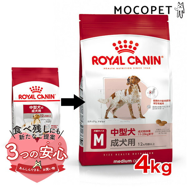 楽天市場】ロイヤルカナン ミディアム エイジング 10＋ 3kg / 中型犬（成犬時体重11〜25kg）高齢犬用（10歳以上） / SHN 犬  ドライフード ジッパー有り #w-123756-00-00 : モコペット