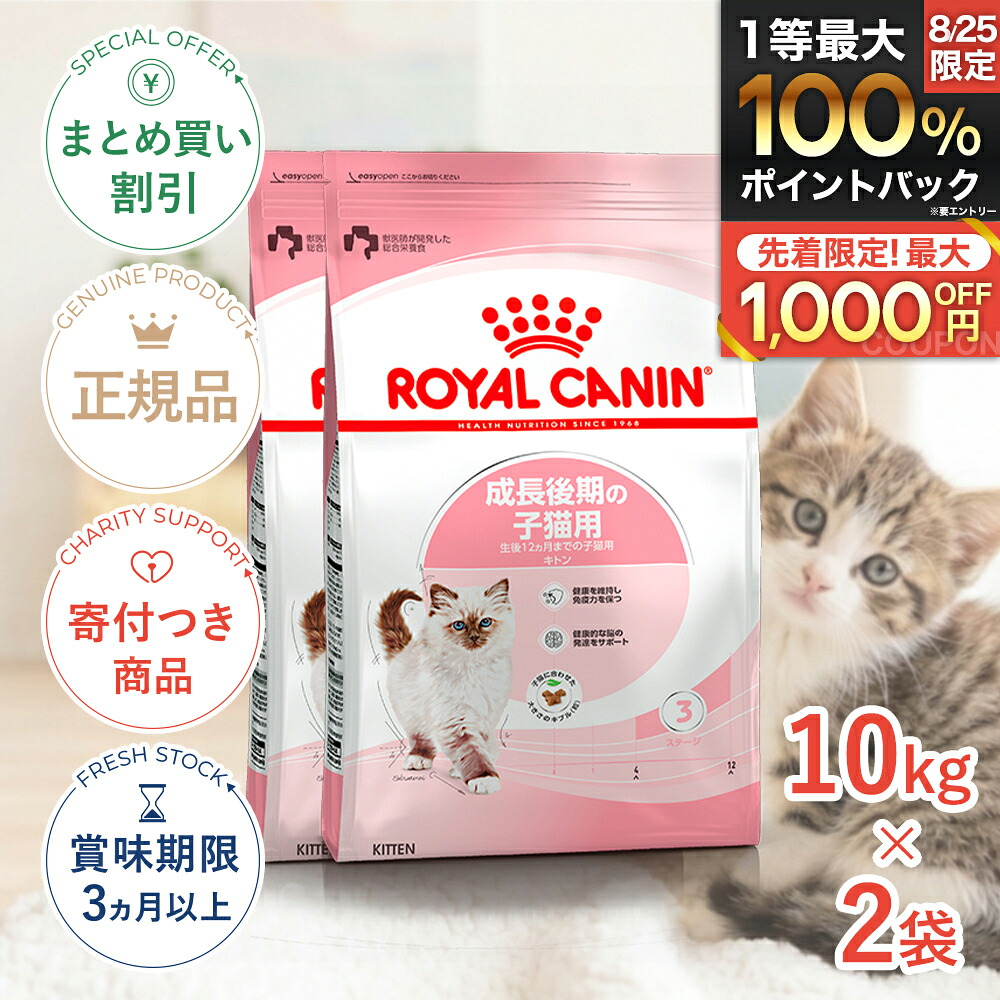 保護施設を持たない、秋田の保護すること活動写真のはなし｜秘密捜査員・ねこ網状組織秋田