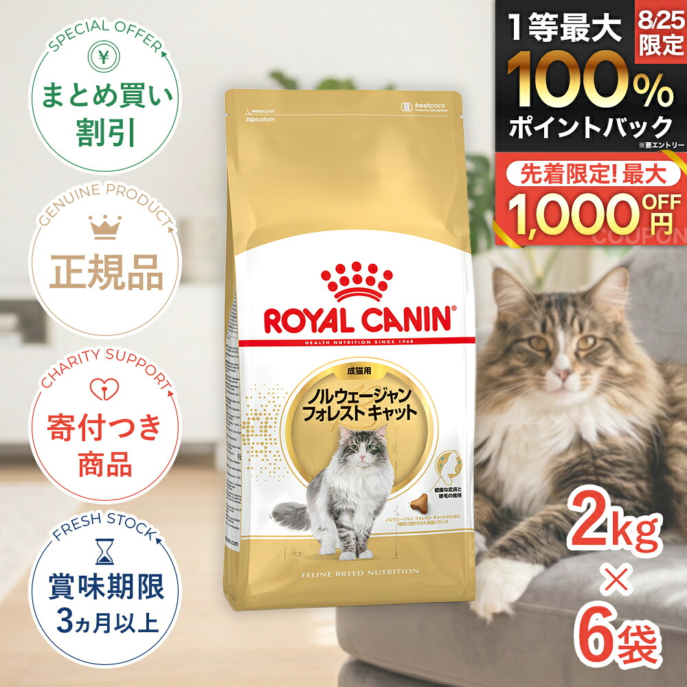 保護施設を持たない、秋田の保護すること活動写真のはなし｜秘密捜査員・ねこ網状組織秋田