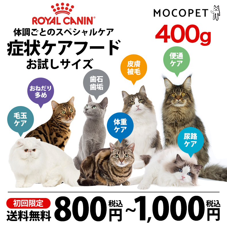 [ロイヤルカナン]ROYAL CANIN フィーライン ケア ニュートリション ダイジェスティブ ケア 400g 3182550953733 #w-172012-00-00