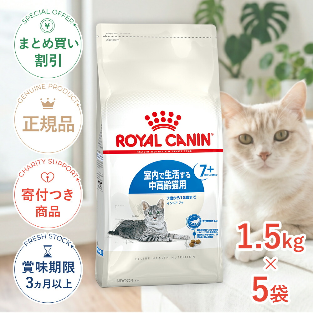 保護施設を持たない、秋田の保護すること活動写真のはなし｜秘密捜査員・ねこ網状組織秋田