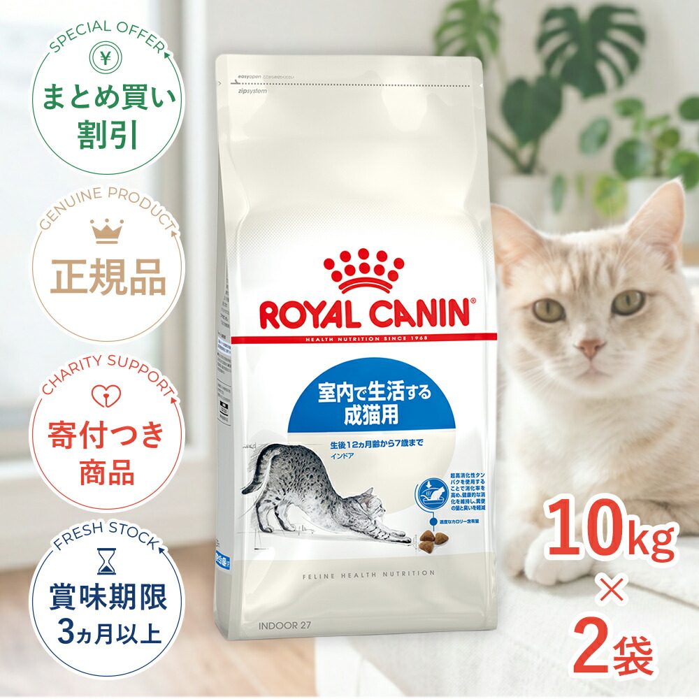 保護施設を持たない、秋田の保護すること活動写真のはなし｜秘密捜査員・ねこ網状組織秋田