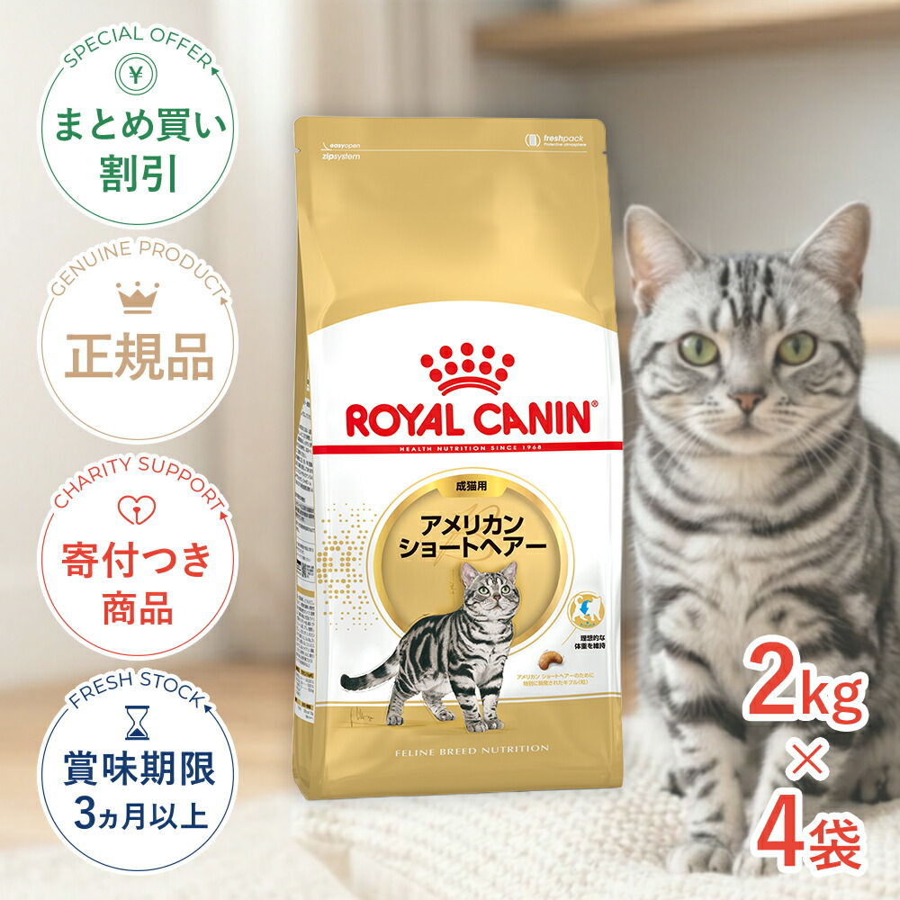まとめ買いがお得【4個】【LINE追加で500円OFF！】ロイヤルカナン アメリカン ショートヘアー 2kg /成猫用（生後12ヵ月齢から12歳まで） / FBN 猫 ドライフード ジッパー有り #stw-149006-00-04