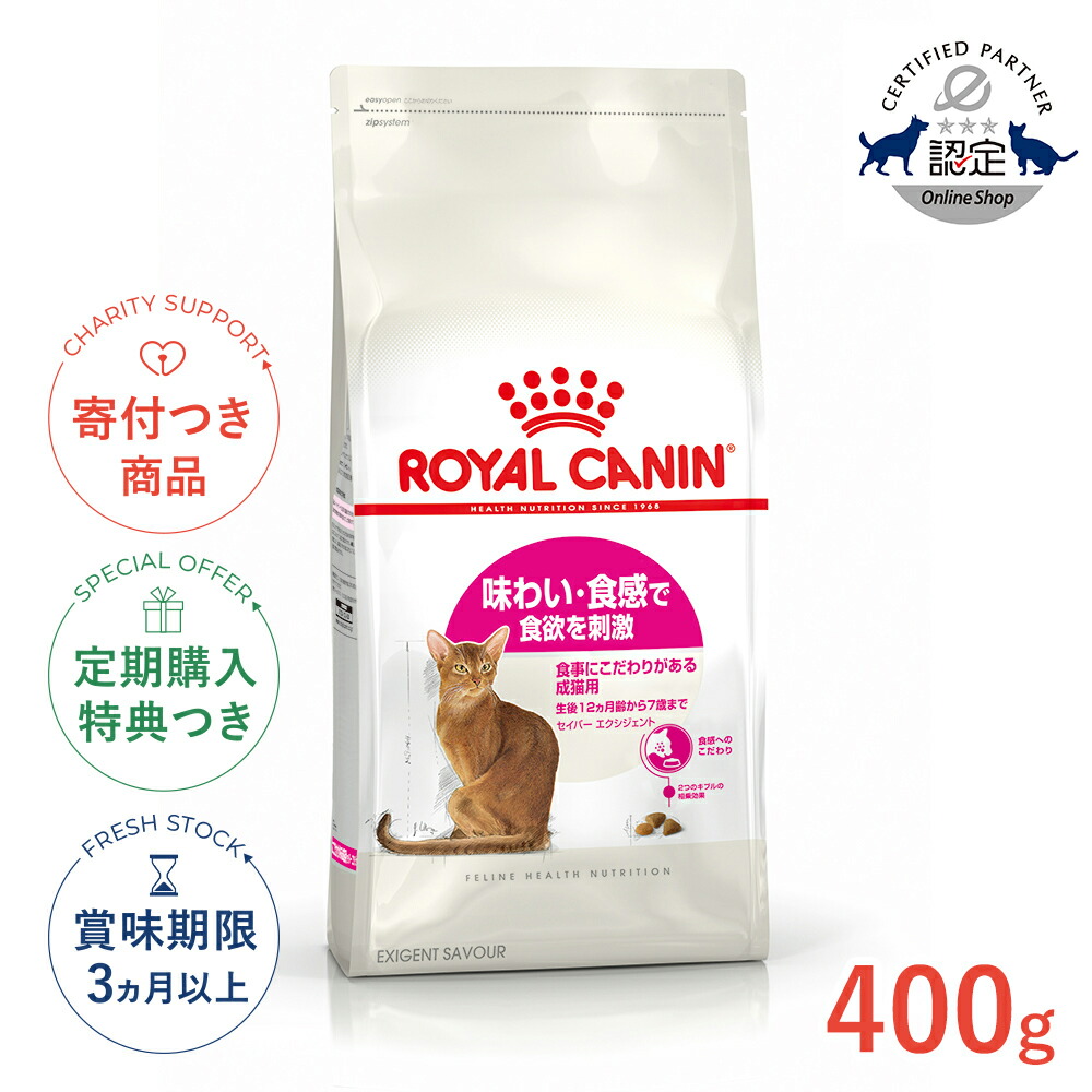 楽天市場】【LINE追加で500円OFF！】ロイヤルカナン インドア ロング