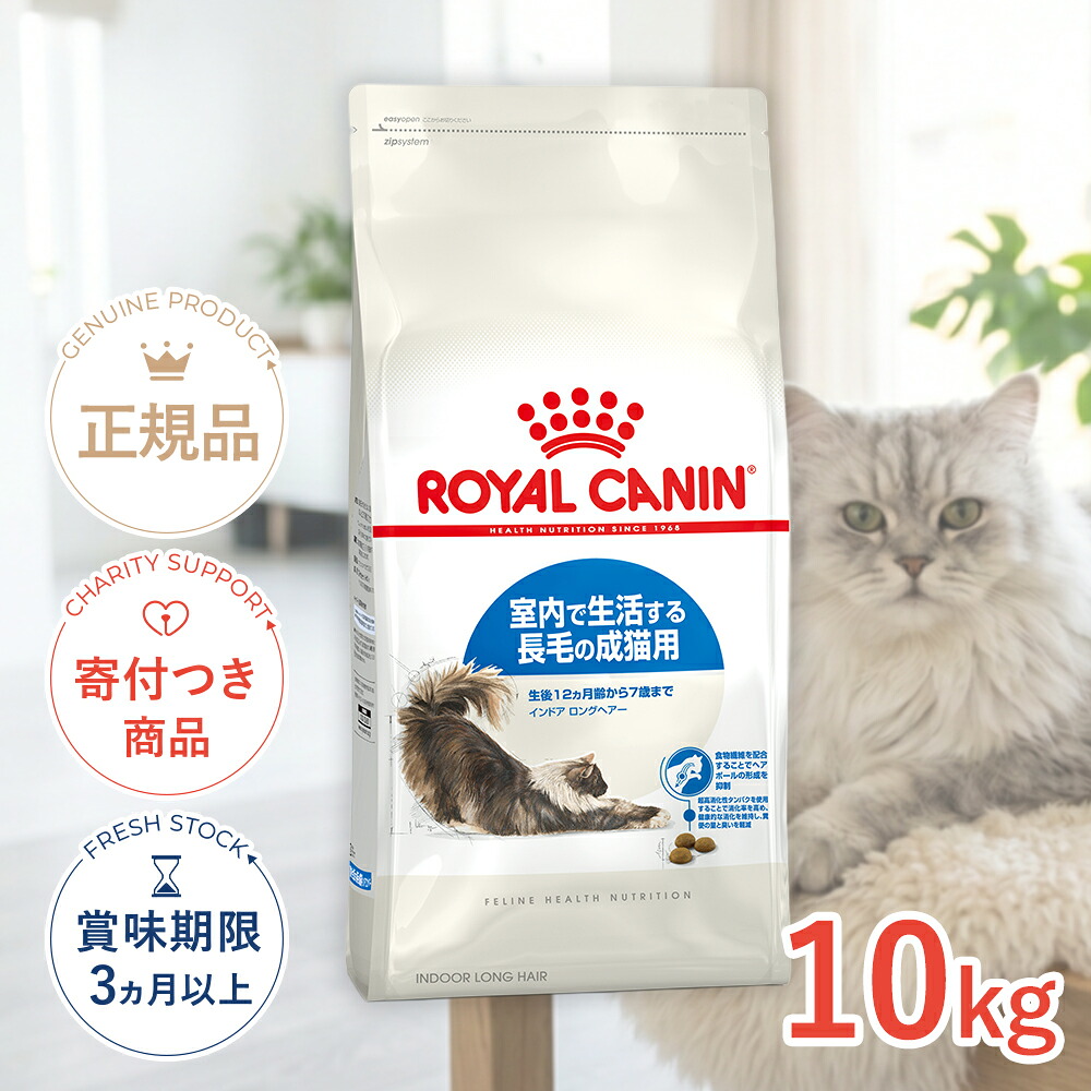 保護施設を持たない、秋田の保護すること活動写真のはなし｜秘密捜査員・ねこ網状組織秋田