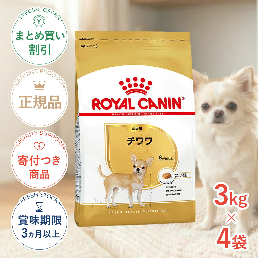 保護施設を持たない、秋田の保護すること活動写真のはなし｜秘密捜査員・ねこ網状組織秋田