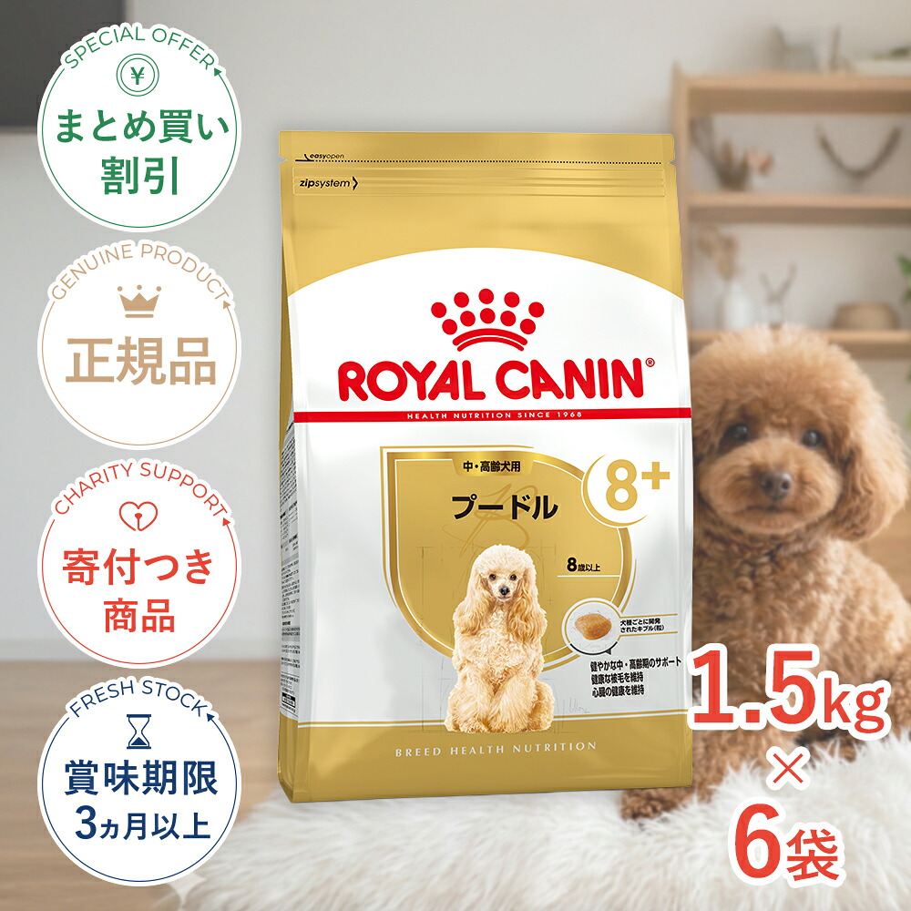 保護施設を持たない、秋田の保護すること活動写真のはなし｜秘密捜査員・ねこ網状組織秋田