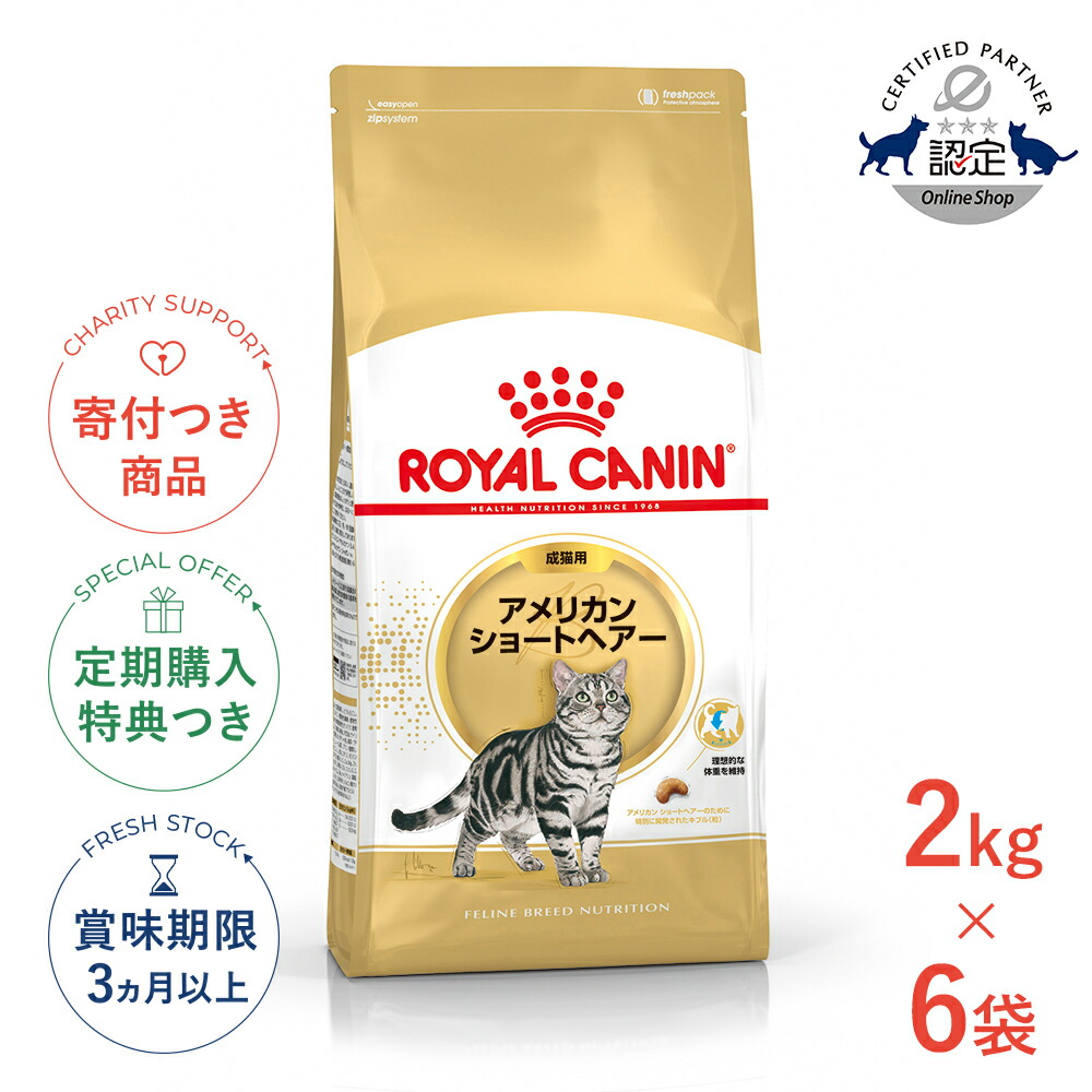 楽天市場】【LINE追加で500円OFF！】【お得な6個セット】ロイヤル