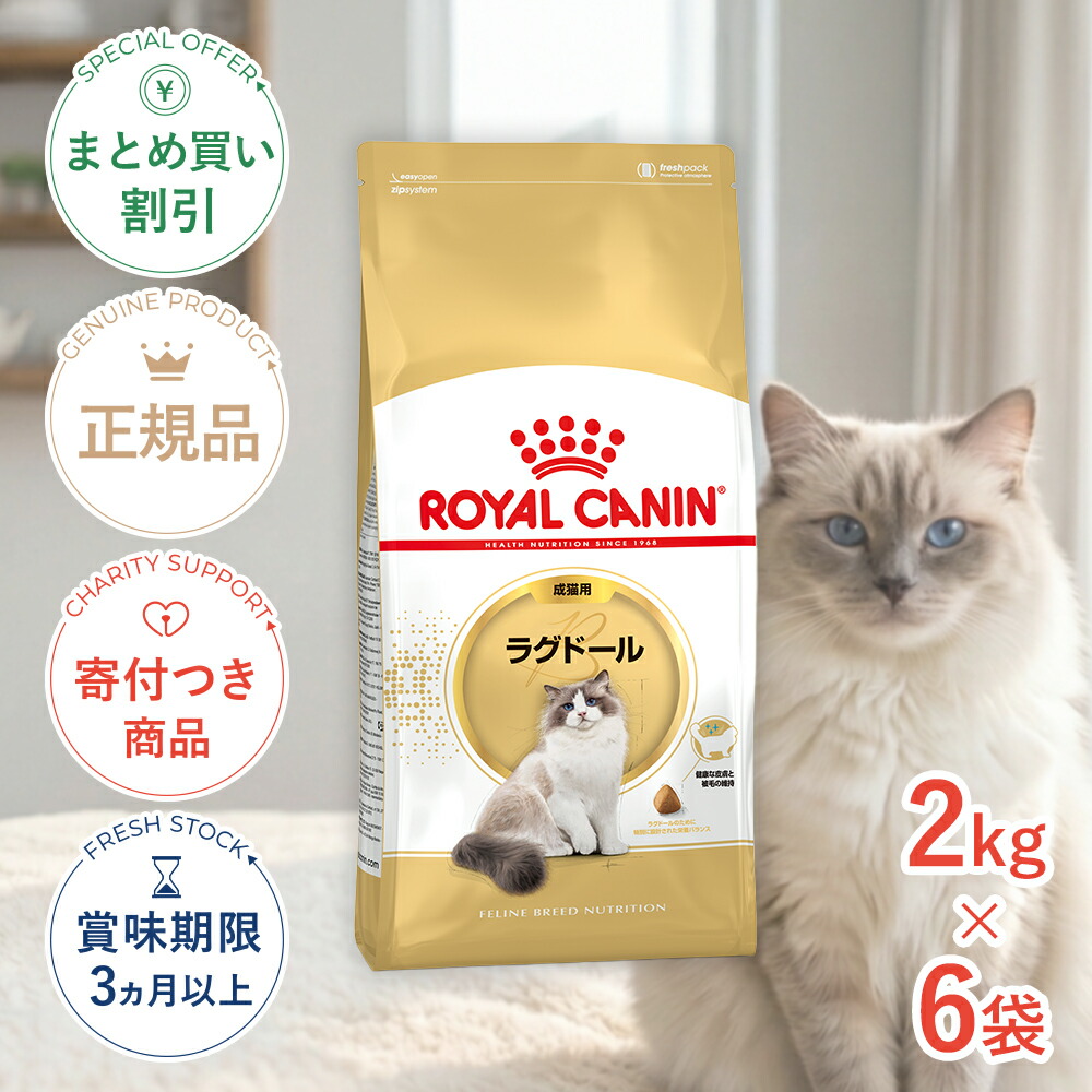保護施設を持たない、秋田の保護すること活動写真のはなし｜秘密捜査員・ねこ網状組織秋田