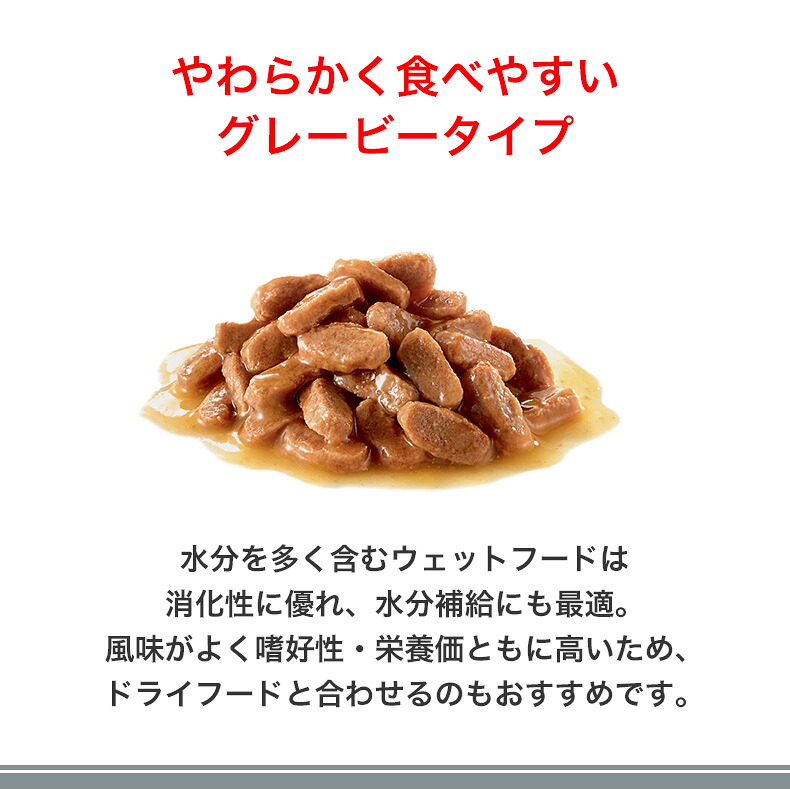 ポイント最大52.5倍｜LINE追加で500円OFF】【お得な48個セット