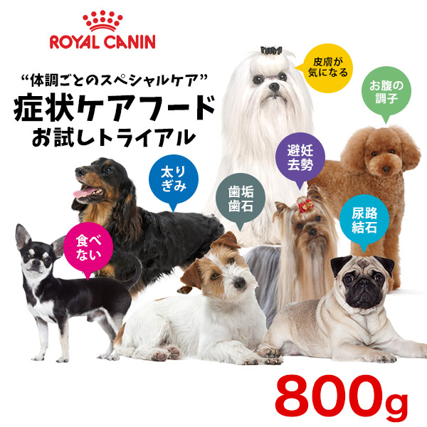 楽天市場 16 賞味期限 21 9 10以降 正規品 ロイヤルカナン 犬ドライ プードル 成犬用 10か月以上 1 5kg 犬種別 ドッグフード ドライ ロイカナ Bhn ナチュラルスタイル For Pets