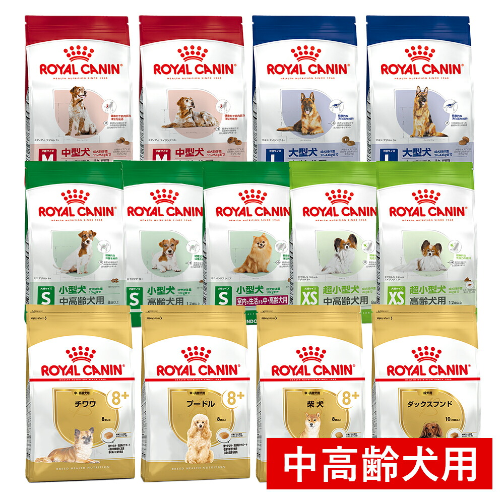 【LINE加えることで500円OFF！】ロイヤル聖地 年がしら期を迎えた犬用の処方せん 中老いらく犬/ 犬カテゴリー化・年歯別・大いさ(大きいさ)別 / おテスト作業大いさからまとめ買いまで 犬用品-ペット・ペットグッズ-ドッグフード