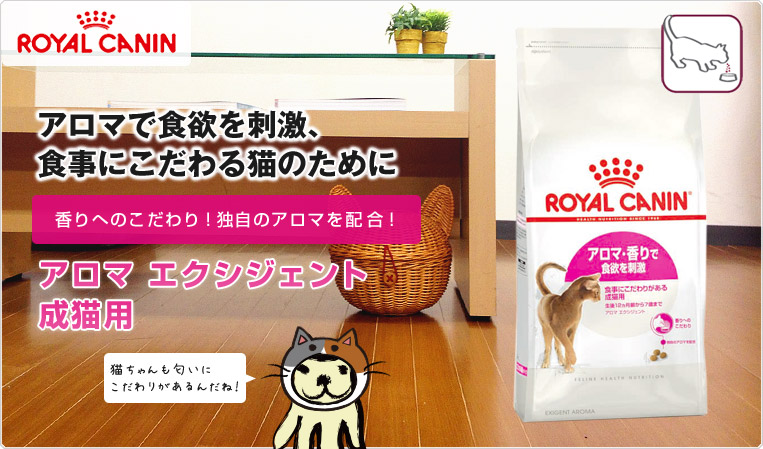 10kg 猫 ペットカート あす楽 ロイヤルカナン 1歳 7歳までの成猫用 350円offクーポン Fhn 安心の正規品 エクシジェント33 ロイヤルカナン アロマ 香りで選ぶ Royal Canin 猫用ドライ W Rc Dry モコペット 送料無料 正規品