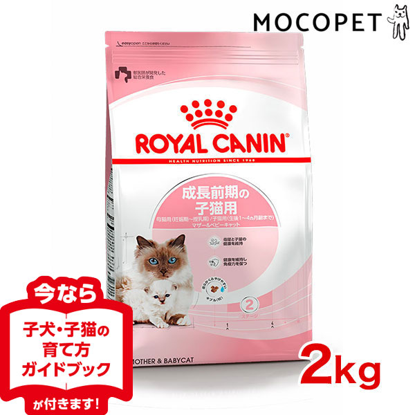 結婚祝い ロイヤルカナン セイバーエクシジェント 猫 キャット 正規品