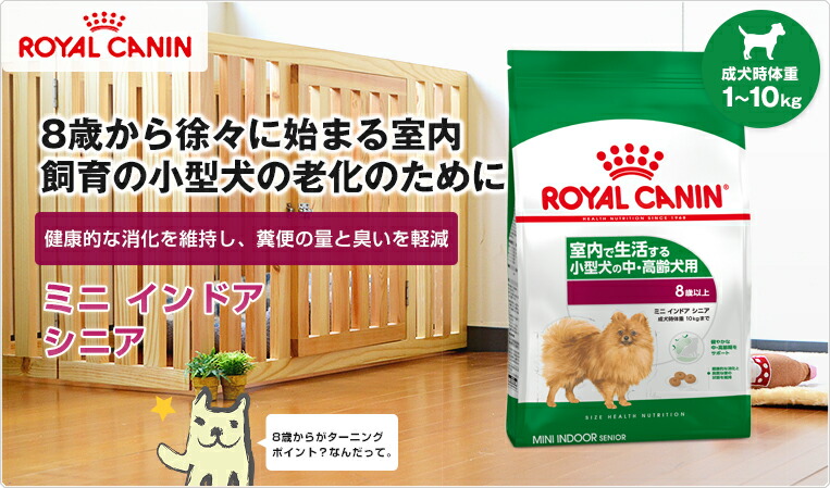 300円offクーポン あす楽 ロイヤルカナン ミニ ペットシーツ エアバギー インドア シニア 3 5kg Air 室内で生活し 外出が少ない中 高齢犬用 犬 Royal Canin Lhn 犬用ドライ いぬ Dog ドッグフード W 旧インドアライフ シニア お得な4個セット Rca 300円offクーポン あす楽 ロイヤルカナン ミニ ペットシーツ エアバギー インドア シニア 3 5kg Air 室内で生活し 外出が少ない中 高齢犬用 犬 Royal Canin Lhn 犬用ドライ いぬ Dog ドッグフード W 旧インドアライフ シニア お得な4個セット Rca