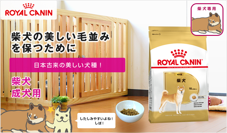 送料無料 まとめ買い 正規品 安心の認定ショップ 楽天最安値に挑戦 2個 柴犬 ロイヤルカナン 犬用品 柴犬 成犬用 生後10ヶ月齢以上 8kg ロイヤルカナン 柴犬 成犬用 生後10ヶ月齢以上 8kg 2個 安心の正規品 Royal Canin Bhn 犬用ドライ