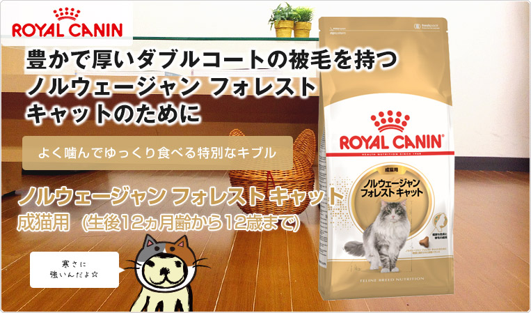 楽天市場】【あす楽】ロイヤルカナン ノルウェージャン フォレスト