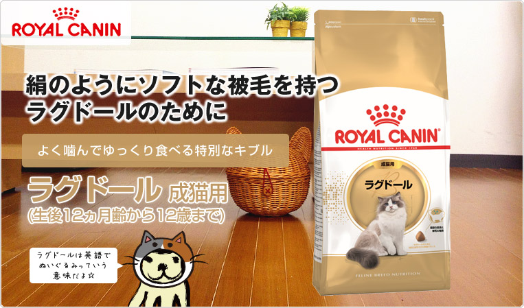 マキシマム400円オフ あす快然たる ロイヤルカナン ラグドール 2kg 6個 生後12ヶ月から12年歯までの成猫用法 Fbn Royal Canin W Fbn 1607 04 お利な6個ひとまとまり Rcsc Pure2improve Com