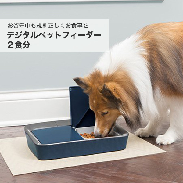 楽天市場】[ドギーマン]DoggyMan おるすばんサポートフィーダー 食器