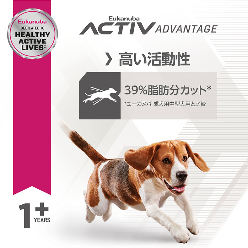非売品 ドッグフード W 1607 00 00 ドライ ドッグフード 2 7kg 1歳以上 中型犬用 体重管理 成犬用 ボディ フィット お得な4個セット ミディアム ユーカヌバ Eukanuba 予約中 Applefaces Co