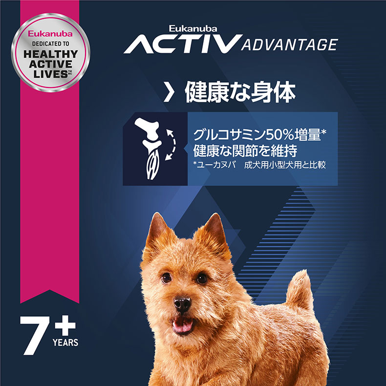 日本製 ドッグフード 最大71 オフ Springセール開催中 あす楽 ユーカヌバ Eukanuba お得な4個セット スモール W 1659 00 00 小型犬 高齢犬用 ドライフード ドッグフード 2 7kg シニア 史上最も激安 Applefaces Co