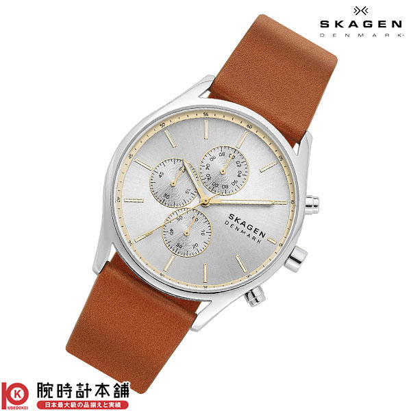 スカーゲン SKAGEN ホルスト SKW6607 メンズ