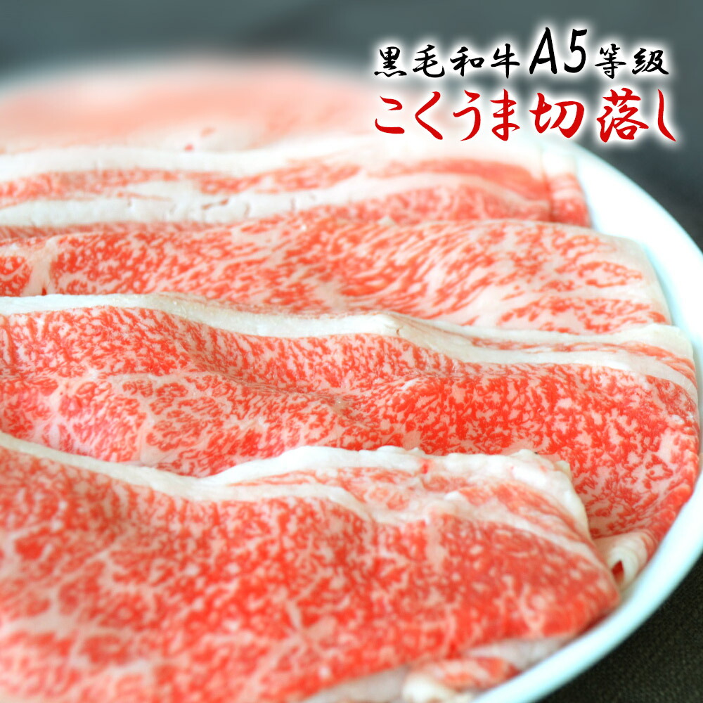 お歳暮 ギフト ハンバーグ 手作り 送料無料 御歳暮 和牛 お肉 肉 内祝い 牛肉 プレゼント 九州ブランド 黒毛和牛 プレミアム 黒毛和牛100%  食くらべセット 全品送料0円