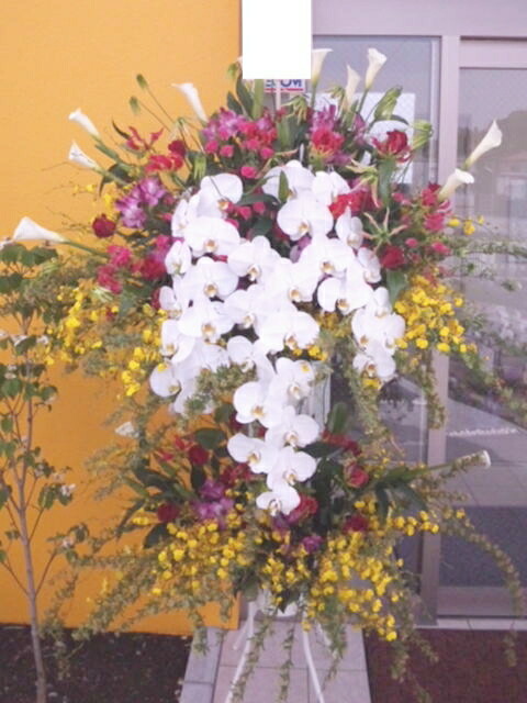 60 Off 飯島生花店こだわりvip スタンド花2段 楽天市場 Tallerdecalzado Com 60 Off 飯島生花店こだわりvip スタンド花2段 楽天市場 Tallerdecalzado Com