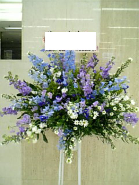 大人気 最短翌日お届け M4Z05MD6NT6 [M4Z05MD6NT6]